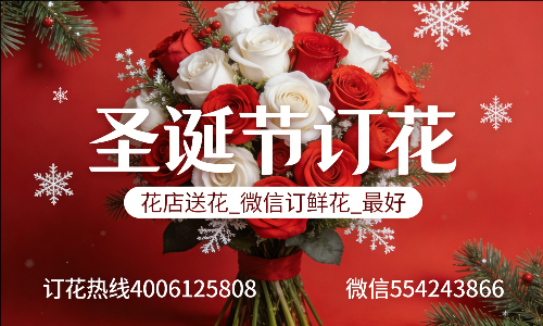���ݾ���������