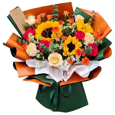 ���ݾ���������